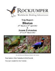 Trip Report: Bhutan - Rockjumper Birding Tours