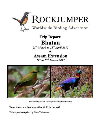 Trip Report: Bhutan - Rockjumper Birding Tours