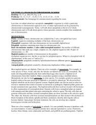 LECTURE 12: CHANGES IN CHROMOSOME NUMBER Reading ...