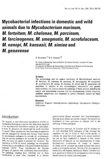 Mycobacterial infections in domestic and wild animals due ... - OIE
