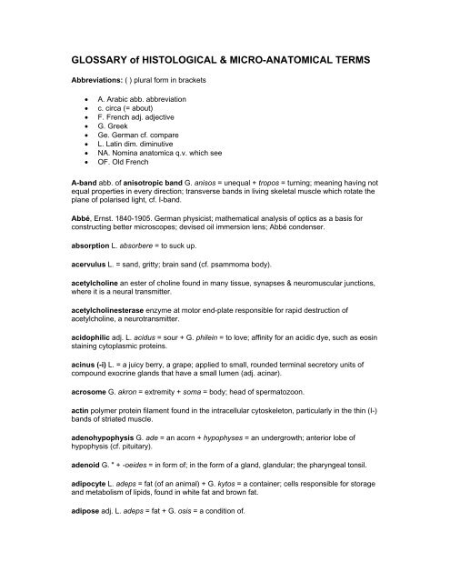 Glossary Of Histological Micro Anatomical Terms