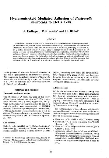 Hyaluronic-Acid Mediated Adhesion of Pasteurella multocida to ...