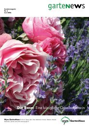 Rosen und Lavendel – ein unschlagbares Team - Wyss