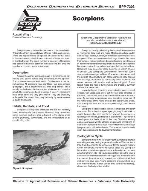 EPP-7303 Scorpions - OSU Fact Sheets - Oklahoma State University