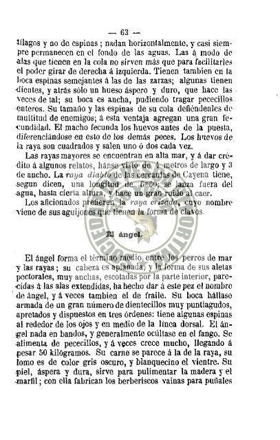 Manual del pescador 1879 .pdf - riograndedexuvia