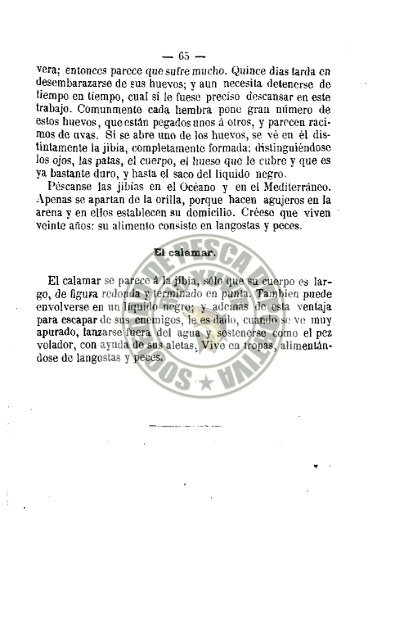 Manual del pescador 1879 .pdf - riograndedexuvia