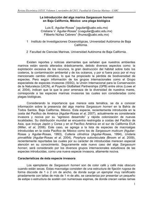 La introducción del alga marina Sargassum horneri en - Facultad de ...