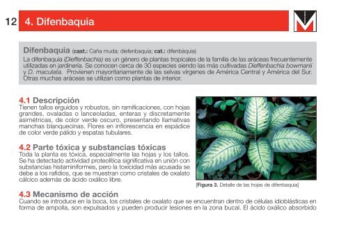 Intoxicaciones por plantas y setas - Área Científica Menarini