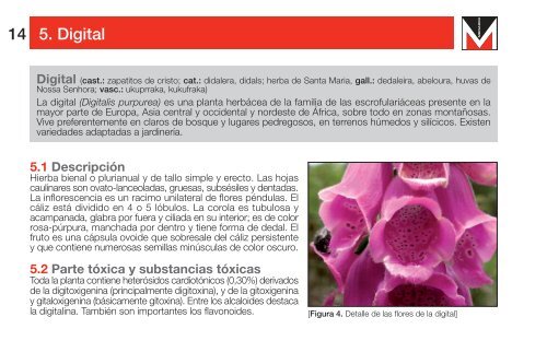 Intoxicaciones por plantas y setas - Área Científica Menarini