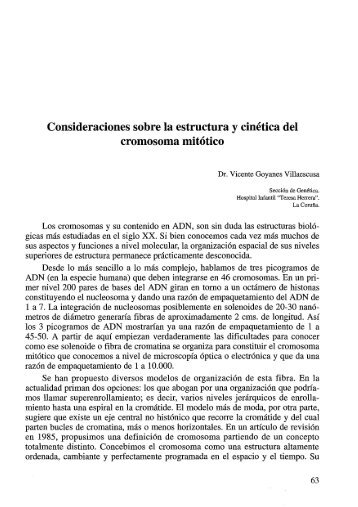 Consideraciones sobre la estructura y cinética del cromosoma mitótico