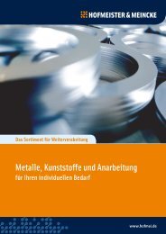 PDF öffnen - Hofmeister & Meincke