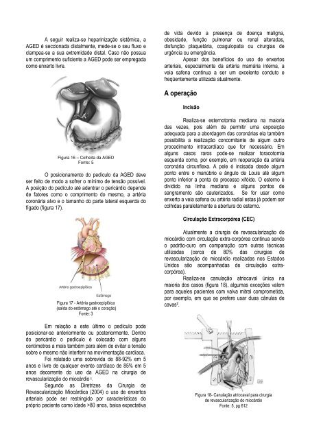Apostila_files/Capitulo 6 _REVASC.pdf