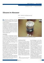 Siloxane im Abwasser (PDF) - ENVILAB AG