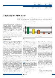 Siloxane im Abwasser - Holinger AG