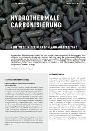 HYDROTHERMALE CARBONISIERUNG - Holinger AG