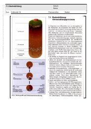 7-1 Bodenbildung - Hollenberg-Gymnasium Waldbröl