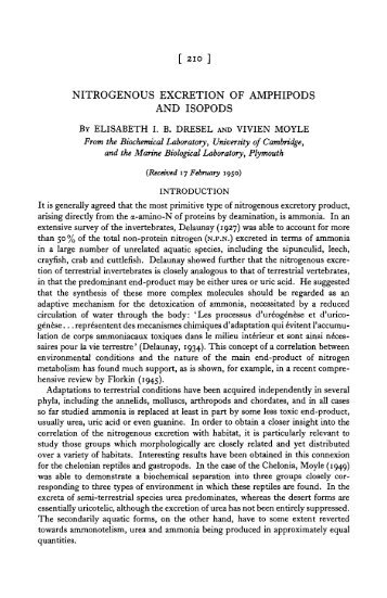 nitrogenous excretion of amphipods and isopods - The Journal of ...