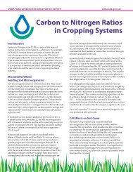 Carbon to Nitrogen Ratios in Cropping Systems - NRCS Soils