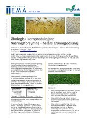 Temaark økologisk kornproduksjon nr. 4 Næringsforsyning - Agropub