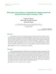 Descrição macroscópica e topografia do intestino grosso ... - Biotemas