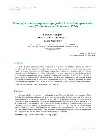 Descrição macroscópica e topografia do intestino grosso ... - Biotemas