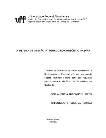 Universidade Federal Fluminense - LabCEO