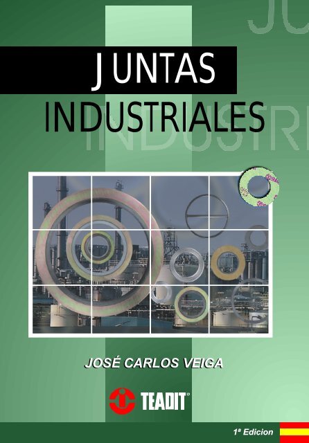 josé carlos veiga juntas industriales - Teadit