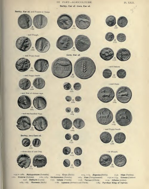 Numismata Graeca Greek Coin Type Part 3 - Forvm Ancient Coins