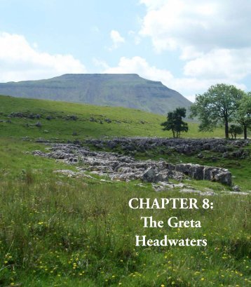 CHAPTER 8: The Greta Headwaters
