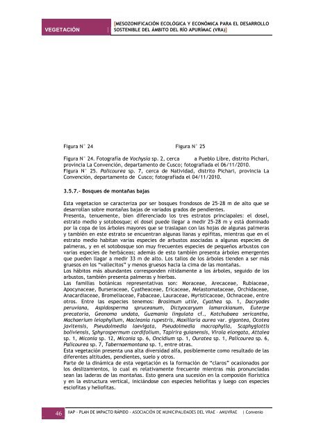 Descargar - Instituto de Investigaciones de la Amazonía Peruana