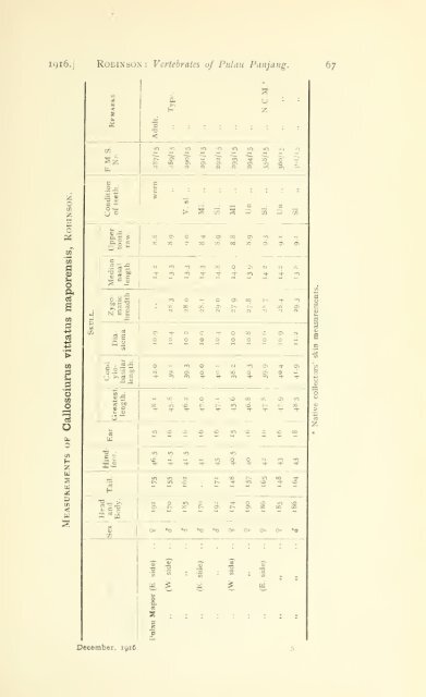 Journal of the Federated Malay States museums - Sabrizain.org