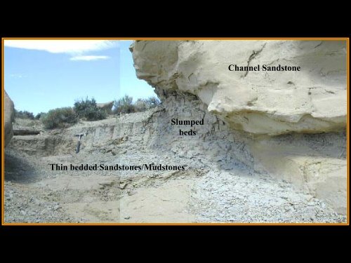 Outcrop/Behind Outcrop Characterization of Deepwater (Turbidite ...