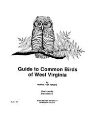Guide to Common Birds - West Virginia University