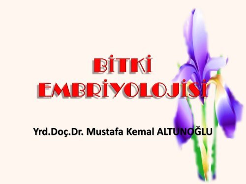 Bitki Embriyolojisi 4