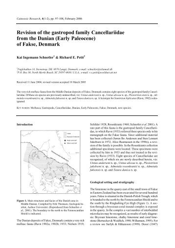 Revision of the gastropod family Cancellariidae from the Danian ...