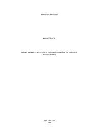 Beatriz Michelini Lippi MONOGRAFIA PODODERMATITE ... - Fmu