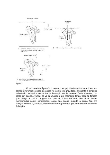 a análise biomecânica em natação - Aquabarra