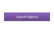 L'aparell digestiu