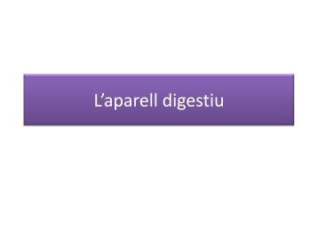 L'aparell digestiu