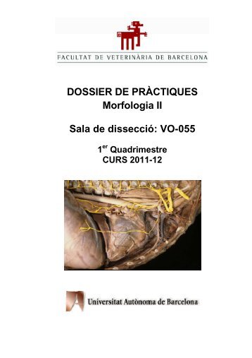 DOSSIER DE PRÀCTIQUES Morfologia II Sala de dissecció: VO-055 1
