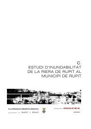 Estudi Inundabilitat - Ajuntament de Rupit i Pruit