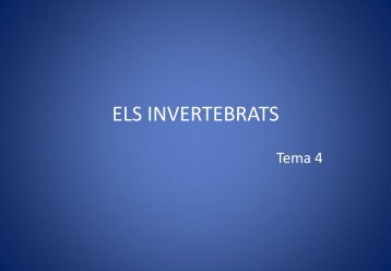 ELS INVERTEBRATS