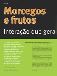 Morcegos e frutos - Ciência Hoje