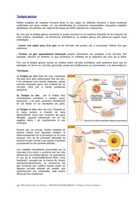 apunts 15 - IES Guillem Cifre de Colonya