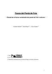 (Fauna del Pantà de Foix 09)