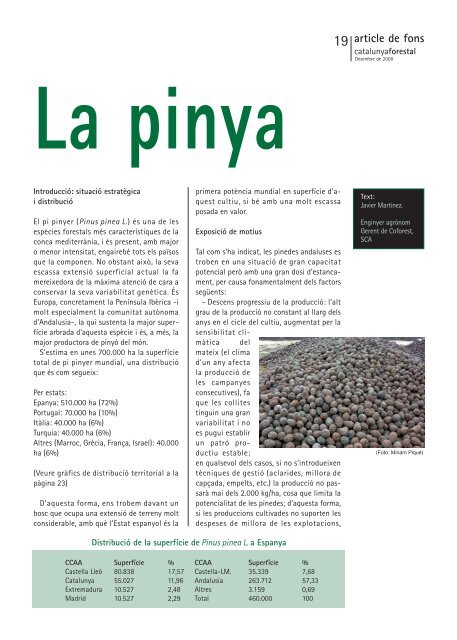 Descarregar document [Tipus: pdf-5294 Kb ] - Consorci Forestal de ...