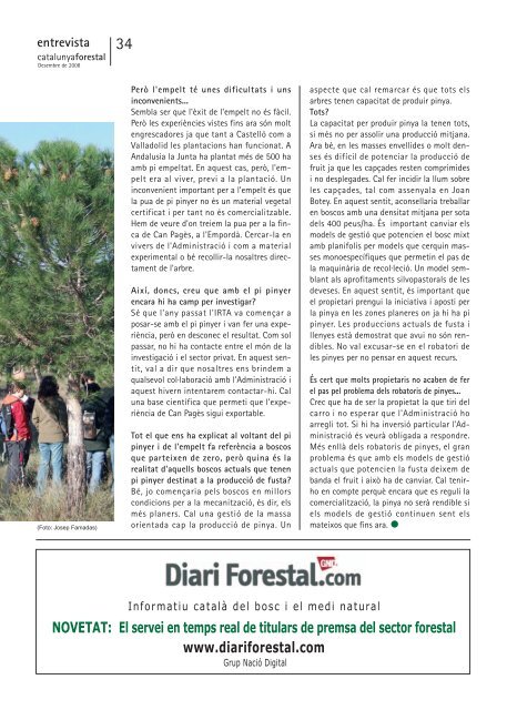 Descarregar document [Tipus: pdf-5294 Kb ] - Consorci Forestal de ...