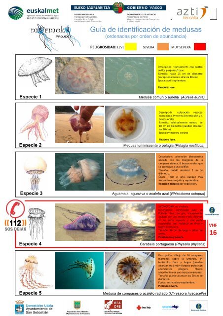 Guía de identificación de medusas