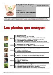 DOCUMENT DE TREBALL-Les plantes que mengem