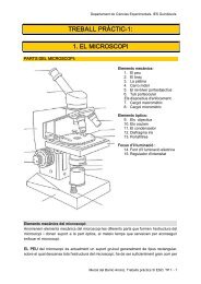 Treball pràctic 1: El microscopi. Tècniques de microscopia ...
